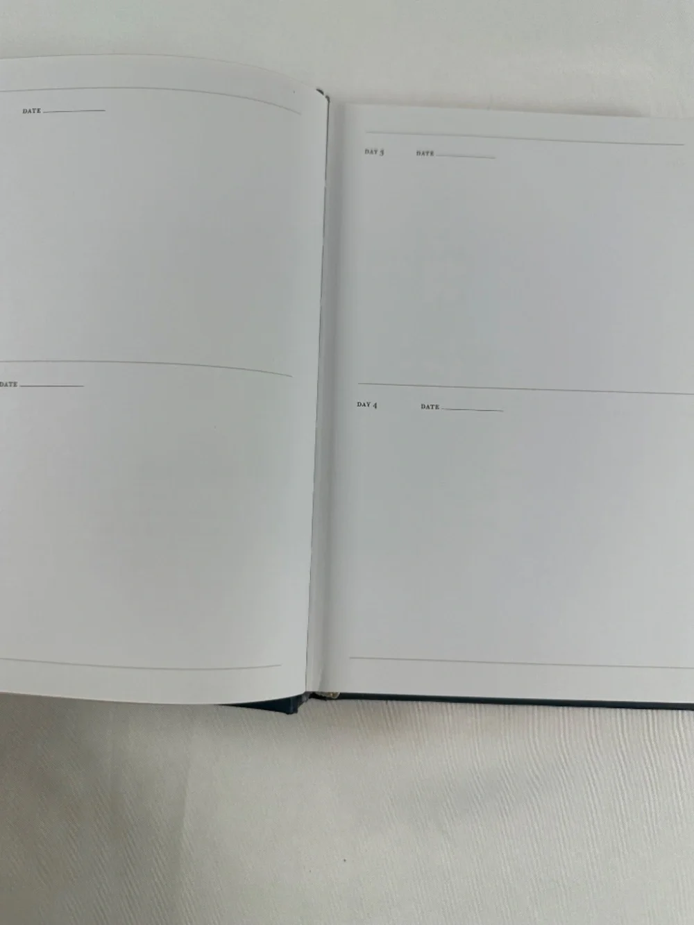 Chronicle Books one sketch